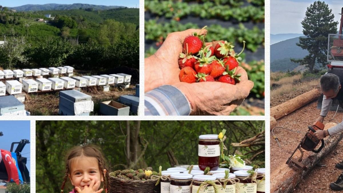 Tarım ve Orman Bakanlığı’ndan orman köylüsüne güçlü destek