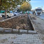 Daha Yeşil Bir Milas İçin Ekipler İlçemizin Dört Bir Yanında Yoğun Çalışmalar Yapıyor