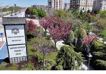 Sakuralar İçin Japonya'ya Gitmenize Gerek Yok; Konya'da Sakura Mevsimi Başladı