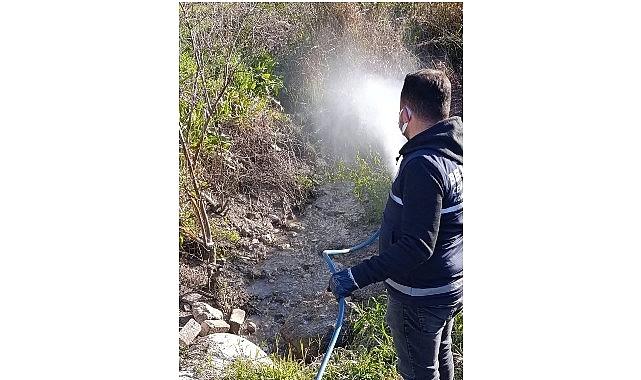 Didim'de Halk Sağlığı İçin Vektörlere Karşı Etkin Mücadele