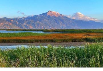 Milleyha Doğa Gözlem Merkezi, 13 Şubat'ta Üç Gün Sürecek "Doğa Buluşması" ile Kapılarını Açıyor.