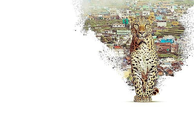 Nilgiri Dağlarını Keşfe Çıkaran 'Nilgiris: Mavi Dağların Hikayesi', 22 Nisan Çarşamba 20.00'de National Geographic WILD Ekranlarında!