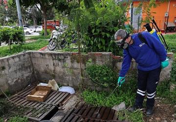 Büyükşehir'den sinek üreme alanlarında yoğun çalışma