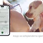 Çankaya Belediyesi'nin Dijital Yüzü 'ÇankApp' Yayında