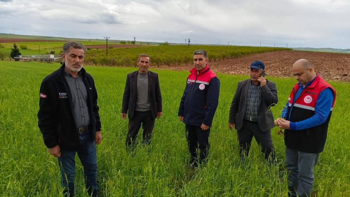 İl Tarım Müdürlüğü sahada: ‘Üreticinin yanındayız’