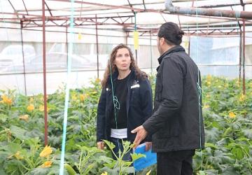 Büyükşehir'den hortum ve fırtınadan zarar gören üreticiye sera naylonu desteği