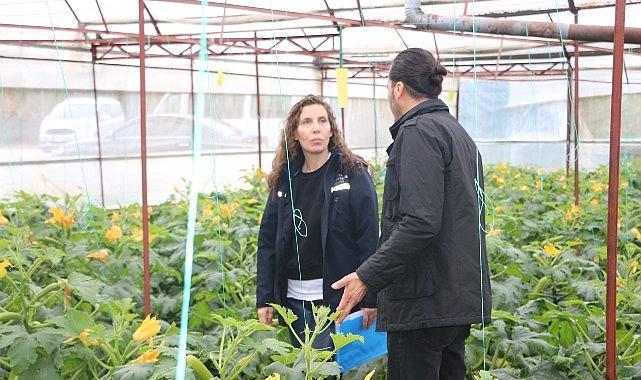 Büyükşehir'den hortum ve fırtınadan zarar gören üreticiye sera naylonu desteği