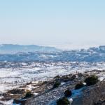 Adıyaman’da karda aç kalan yaban domuzları İndere bolgesine indi - Videolu Haber