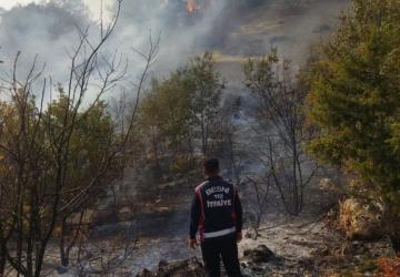 Besni Akpınar Köyü’nde çıkan orman yangını kontrol altına alındı - Videolu Haber