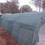 Bergama Belediyesi'nden atıktan hayata dönüşen çevre hamlesi