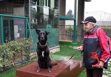 Maltepe'de “Pati Park" açıldı
