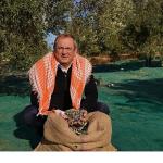 Mesut Ergin: “Dünya Zeytin Ağacı Günü Kutlu Olsun"