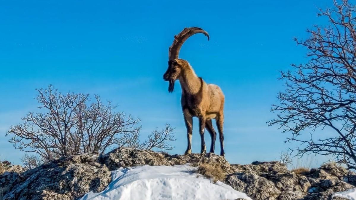 Kar Adıyaman’ı beyaza bürüdü: Kartpostallık manzaralar ortaya çıktı