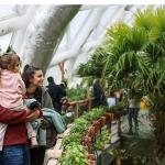 Selçuklu'nun Sembol Mekanlarında Şeb-i Arûs Yoğunluğu Yaşanıyor