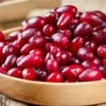 Grip ve soğuk algınlığına karşı kızılcık öne çıkıyor