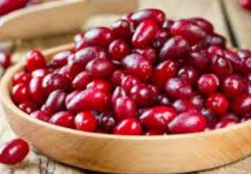 Grip ve soğuk algınlığına karşı kızılcık öne çıkıyor