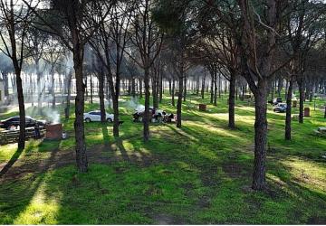 Altınova Mesire Alanı Hizmete Açıldı