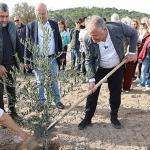 Atatürk'ün Vasiyeti Urla'da Hayata Geçti: Zeytin Koleksiyon Bahçesi'nde İlk Fidan Dikimi