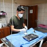 Kemer'de 227 sokak hayvanı kısırlaştırıldı