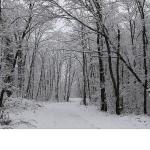 Ormanya'da kartpostallık kış manzaraları