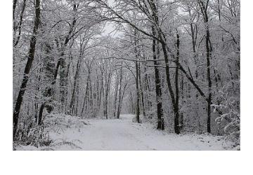 Ormanya'da kartpostallık kış manzaraları