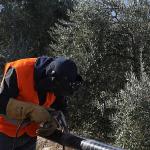 Mahalle Muhtarı Şanlı: Özlem Başkanımızın Hizmetlerinden Çok Memnunuz