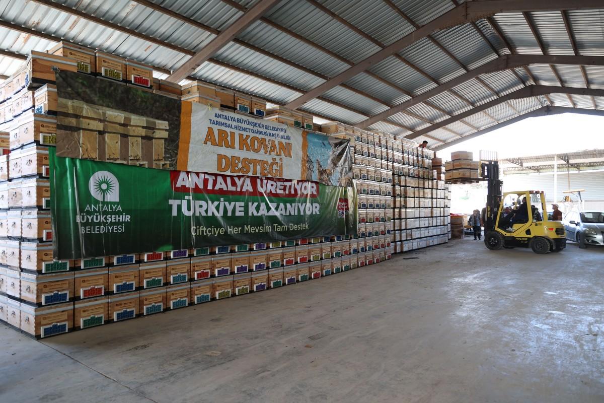 Antalya Büyükşehir Belediyesi’nden Arıcılığa Güçlü Destek: 1.200 Kovan Dağıtıldı