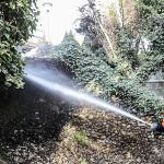 Başkent'in Simgesi Kuğulupark'ta Buharlı Temizlik