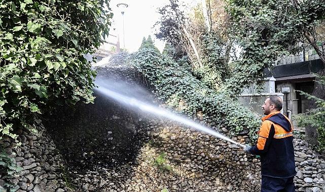 Başkent'in Simgesi Kuğulupark'ta Buharlı Temizlik