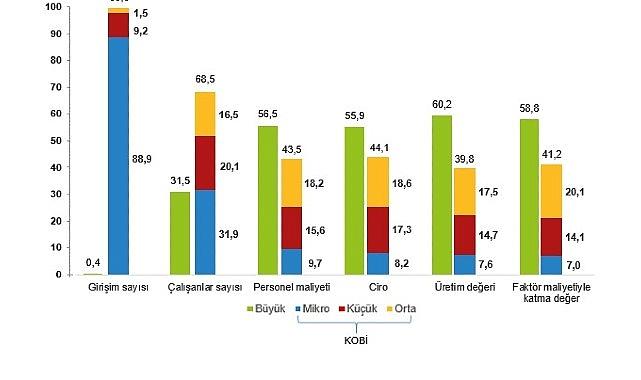 Küçük ve Orta Büyüklükteki Girişim İstatistikleri, 2024