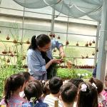 Çocuklar Toprak Sevgisini Osmangazi'de Öğrendi