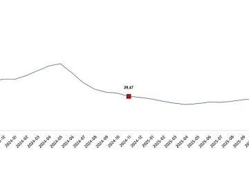 Yurt İçi Üretici Fiyat Endeksi, Kasım 2025