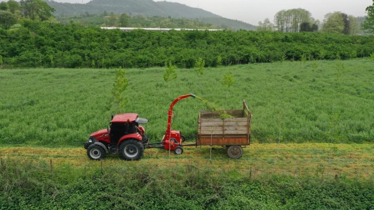 Ordu’da Tarım ve Hayvancılıkta Yeni Dönem