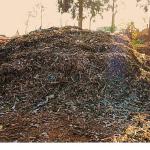 Didim Belediyesi'nden Örnek Proje: Pazar Atıkları Komposta Dönüşüyor