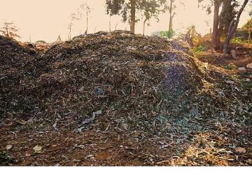 Didim Belediyesi'nden Örnek Proje: Pazar Atıkları Komposta Dönüşüyor