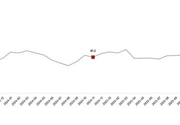Ekonomik Güven Endeksi, Kasım 2025