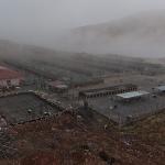 Sokak Hayvanları İçin Modern, Sağlıklı ve Doğal Yaşam Projesi Başladı