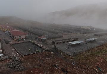 Sokak Hayvanları İçin Modern, Sağlıklı ve Doğal Yaşam Projesi Başladı