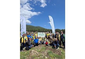 “Yeşil Adım" Projesiyle 11 Bin 581 Fidan hayat buldu.
