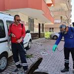 Büyükşehir'den kent genelinde vektörle mücadele