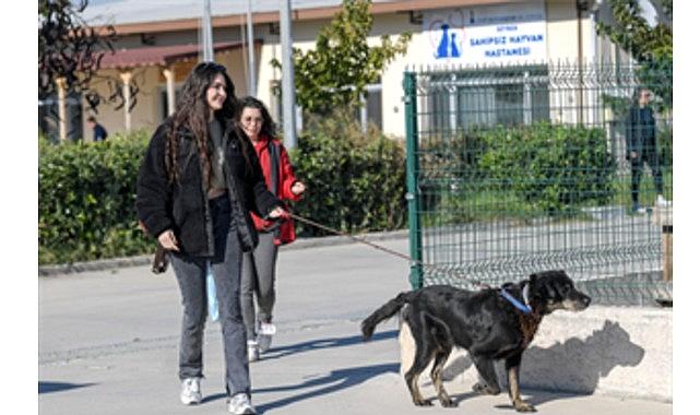 İzmirli hayvansever Çörekçi'nin emanetlerine İzmir Büyükşehir Belediyesi sahip çıktı