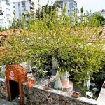 Narista Hayat, 17 Nisan'da Açılıyor