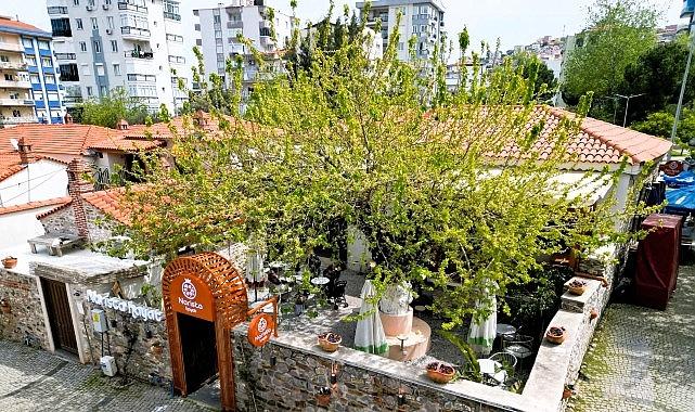 Narista Hayat, 17 Nisan'da Açılıyor