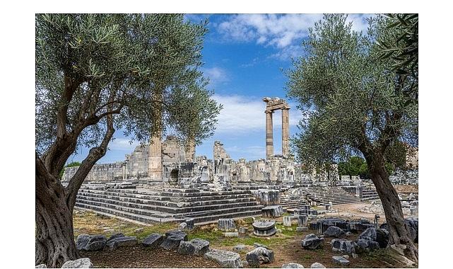 26 Kasım Dünya Zeytin Ağacı Günü'nde Didim Belediyesi'nden Anlamlı Mesaj