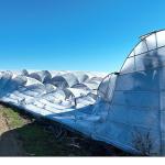 Büyükşehir Belediyesi seraları zarar gören çiftçinin yanında