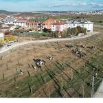 572 Fidanlı Koruluk Akhisar'a Nefes Olacak