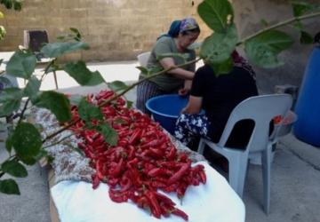 ‘Tükettiğimiz Dünya’ etkinlikleri devam ediyor: Belgesel gösterimi sonrası forum düzenlenecek