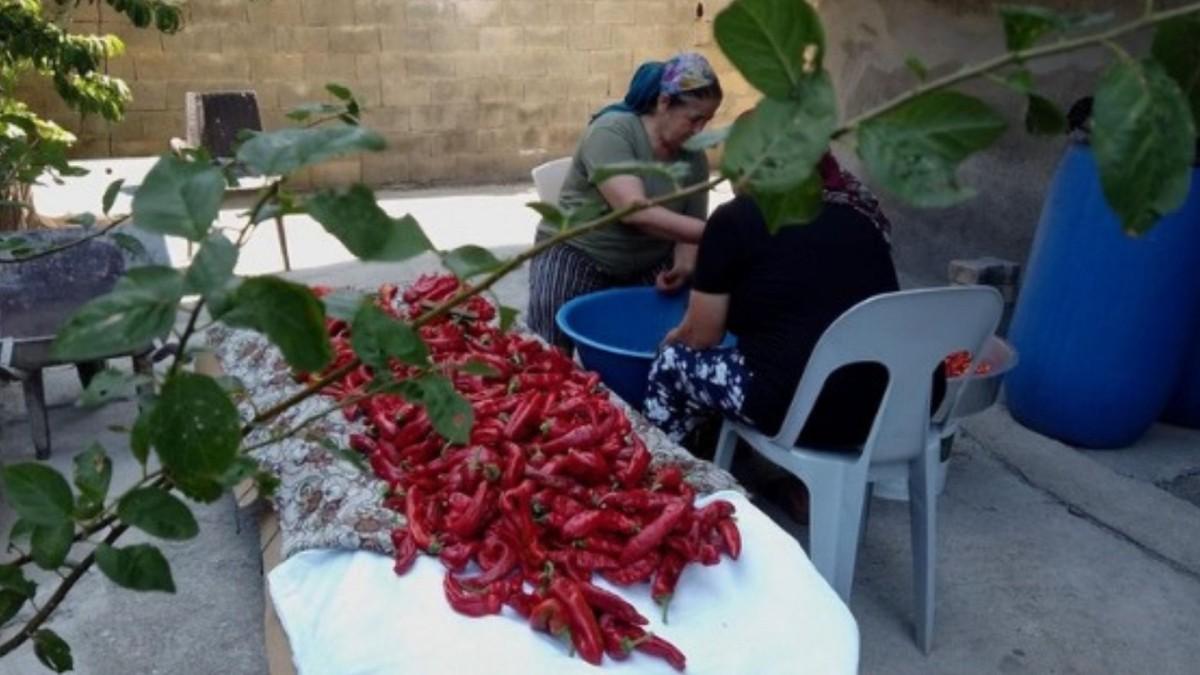 ‘Tükettiğimiz Dünya’ etkinlikleri devam ediyor: Belgesel gösterimi sonrası forum düzenlenecek