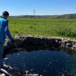 Adıyaman Belediyesi yaz öncesi ilaçlama çalışmalarını yoğunlaştırdı - Videolu Haber