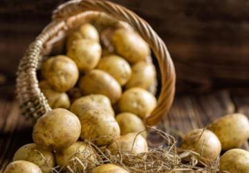 Ticaret Bakanlığı’ndan patates fiyatı açıklaması: ‘25 Liraya satıldığı’ iddiası yanlış